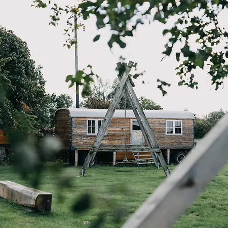 Ein Ding Der Moglichkeit ホテル