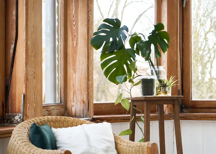 Ein Ding Der Moglichkeit 2*